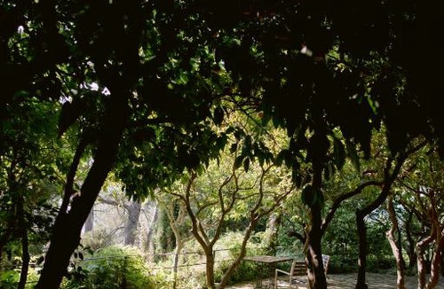 Xativa Hotel | Mont-Sant