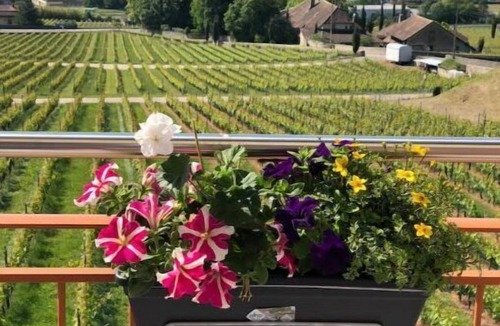 Mont-sur-Rolle Apartment | Mont-sur-Rolle Apartment with panoramic view