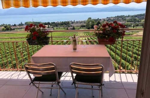 Mont-sur-Rolle Apartment | Mont-sur-Rolle Apartment with panoramic view