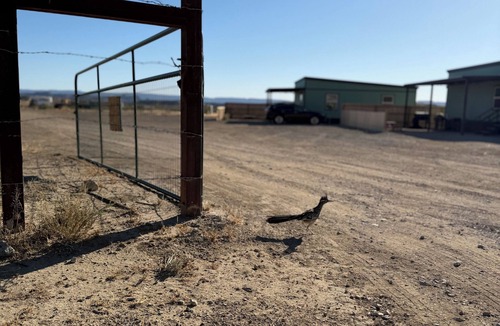 Study Butte-Terlingua Cabin | Montaña Sunrise