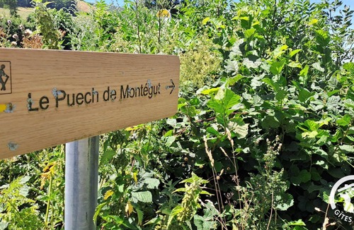 Murat-sur-Vebre House | Montaigut - MURAT-SUR-VEBRE