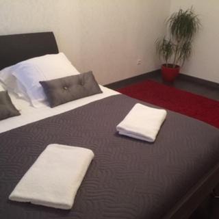 Patrotte Metz-Nord Apartment | Monte Cristo