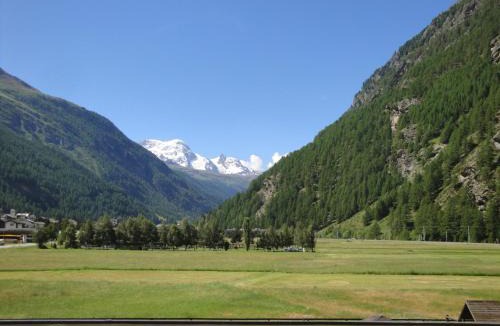 Taesch Apartment | Monte Rosa D 412