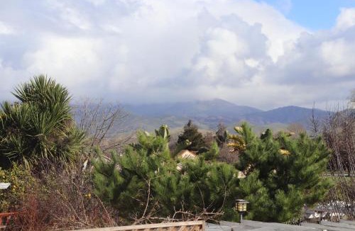 Salinas House | Monte Vista