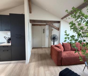 Saint-Laurent-sur-Sevre Apartment | Montfort