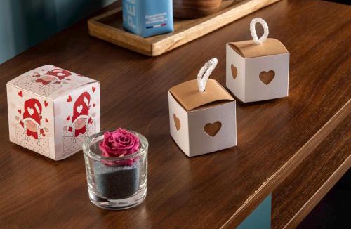 Plaisance Hotel | Montparnasse Alésia