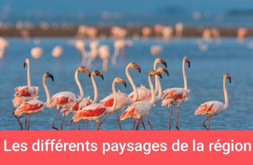 Millenaire Other | MONTPELLIER van aménagé SANS WC SANITAIRE ET CUISINE, JUSTE POUR DÉPANNER quelques nuits, PRÉVOIR UNE BATTERIE EXTERNE POUR LES TÉLÉPHONES MERCI DE BIEN LIRE LE DESCRIPTIF