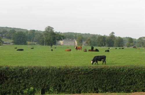 Castle Bytham House | Moo Cow Cottage Self Catering