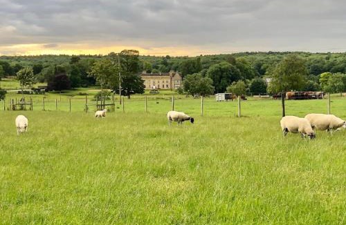 Castle Bytham House | Moo Cow Cottage Self Catering