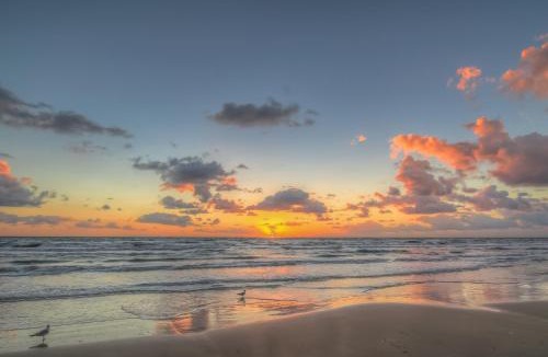 South Padre Island Apartment | Moon Dancer Condominiums 3