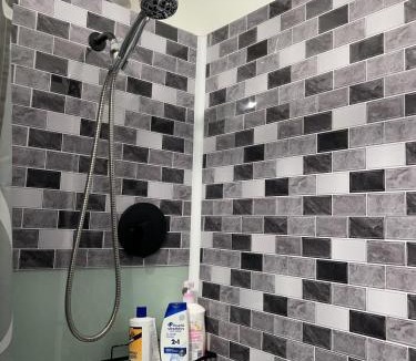 Chinatown House | moon lotus abode(月蓮居)