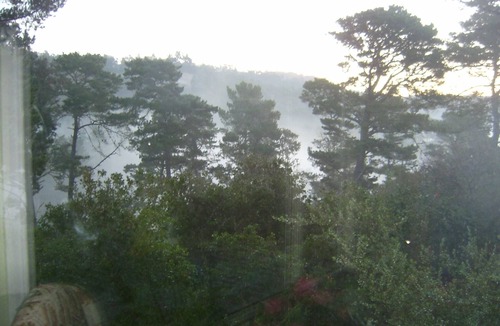 Carmel Cottage | Moonglow: Forest tranquility minutes from downtown Carmel.