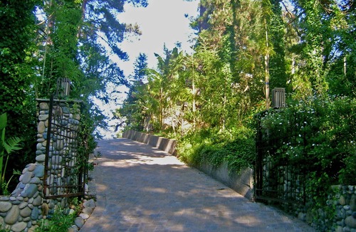 Carmel Cottage | Moonglow: Forest tranquility minutes from downtown Carmel.