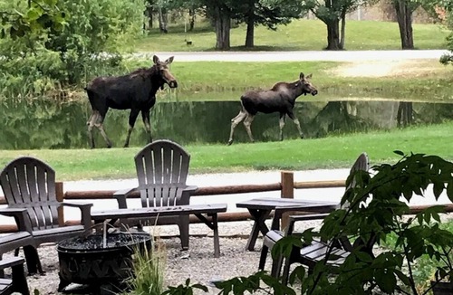 Idaho Falls Cottage | Moonlight Cottage D “Schuss”; Sleeps 5