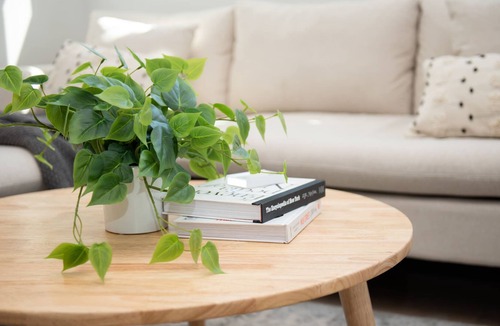 Cairo Apartment | Moonlight Lodge Unit 3 - Catskills, Hunter,Windham