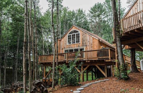 Belgrade House | MoonLight Treehouse At Belgrade Hospitality