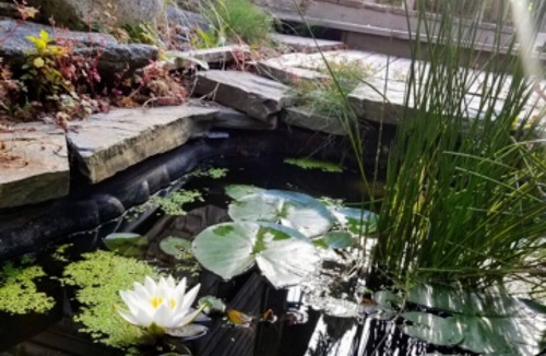 Trinidad House | Moonstone Sanctuary: Serene Retreat Near Moonstone Beach