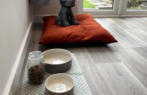 Delabole House | Moor View