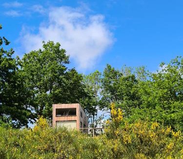 Cros Ski Chalet | Moose Home Tiny house Genêts