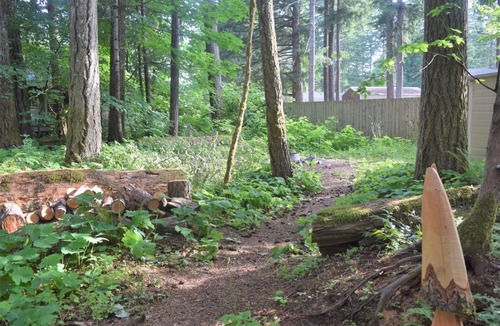 Packwood Cabin | Moose Manor