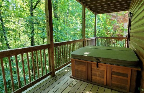 Pigeon Forge House | Moose Ridge Cabin