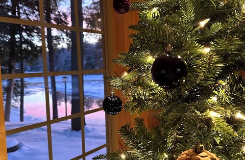 Town of Webb Cabin | Moose River Landing Cabin on the Majestic Moose River! Waterfront - Old Forge NY