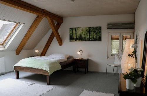 Munchenbuchsee Apartment | Mooshof Apartment