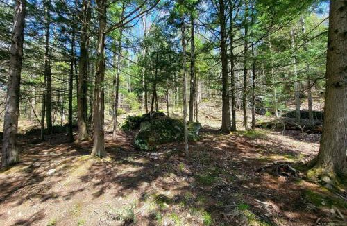 Warren House | Morel Mountain Hideaway