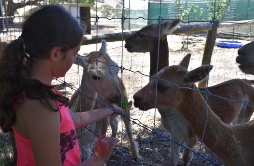 Silverton House | Morella Farmstay