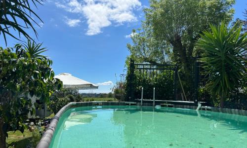 Aongatete Other | Morepork Rural Oasis