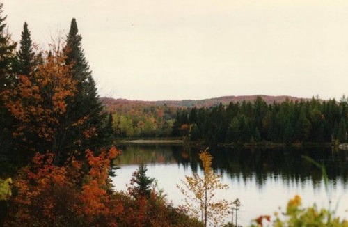 Mille-Isles Cottage | Morin Heights Beautiful LAKEFRONT Ski Chalet - Available now