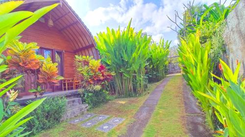 Tumbak Bayuh House | Morning Bali Bungalow