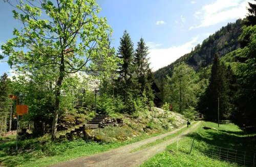 Lungern Hostel | MOS Guesthouse Naturfreundehaus Brunig