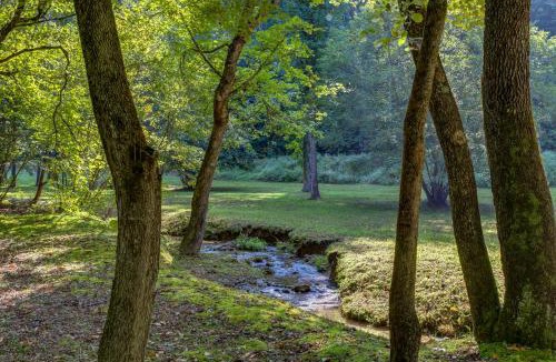 Mineral Bluff House | Moss Creek Cabin