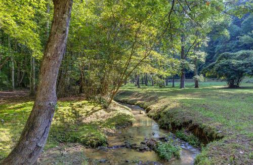 Mineral Bluff House | Moss Creek Cabin