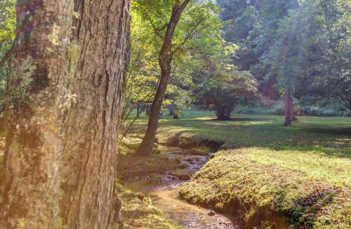 Mineral Bluff House | Moss Creek Cabin
