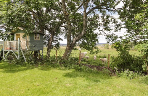 Aberlour Cottage | Moss of Bourach