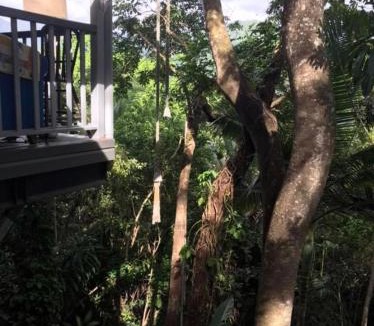 Mossman Bed & Breakfast | Mossman Gorge Bed and Breakfast