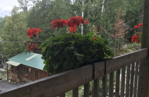 Sioux Narrows Nestor Falls Cabin | Motel 3, Lakeview ,communal Sauna-Hot Tub, Patio, Lake Tours, Boat Rental.