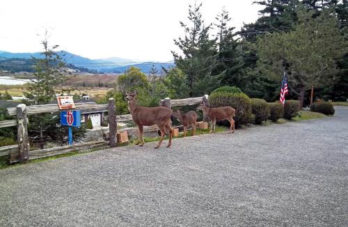 Gold Beach Hotel | Motel 6 Gold Beach