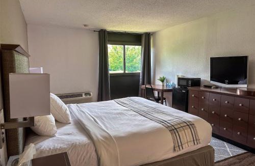 Rochester Hotel | Motel 6 Rochester, NY - Airport