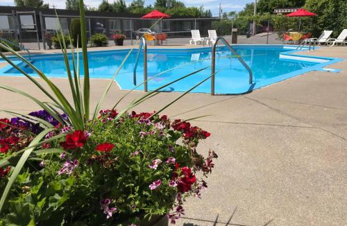 Downtown Gatineau Hotel | Motel Adam