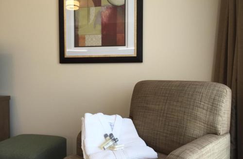 Downtown Gatineau Hotel | Motel Adam