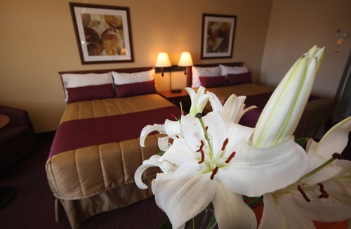 Downtown Gatineau Hotel | Motel Adam