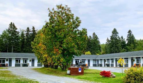 Rimouski Hotel | Motel de L'Anse et Camping Rimouski