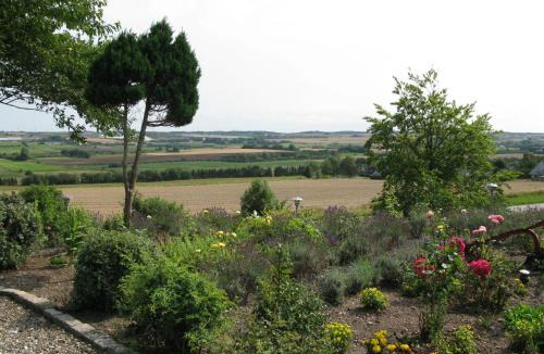 Svenstrup Hotel | Motel Europa