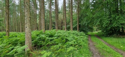 Norager Hotel | Motel Gavlhuset