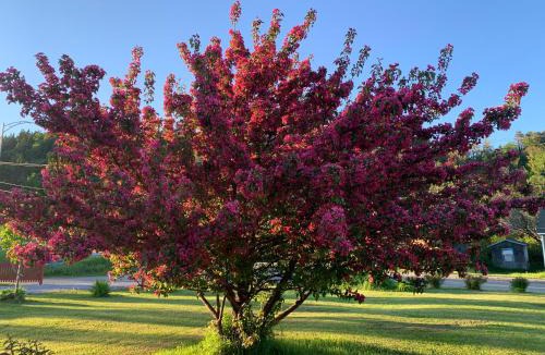 Perce Ski Chalet | Motel le repos