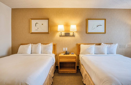 Rouyn-Noranda Hotel | Motel Mistral