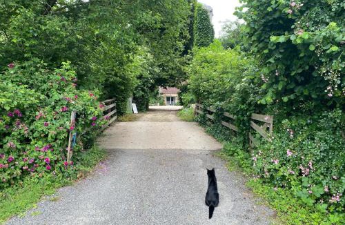 Fretigney-et-Velloreille Bed & Breakfast | Moulin de la Rouchotte